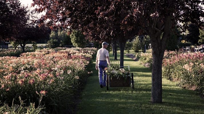 Garden Cart